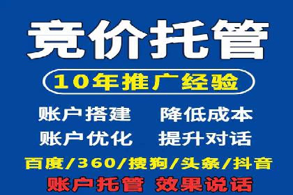 SEM推广技巧：成功案例深度剖析